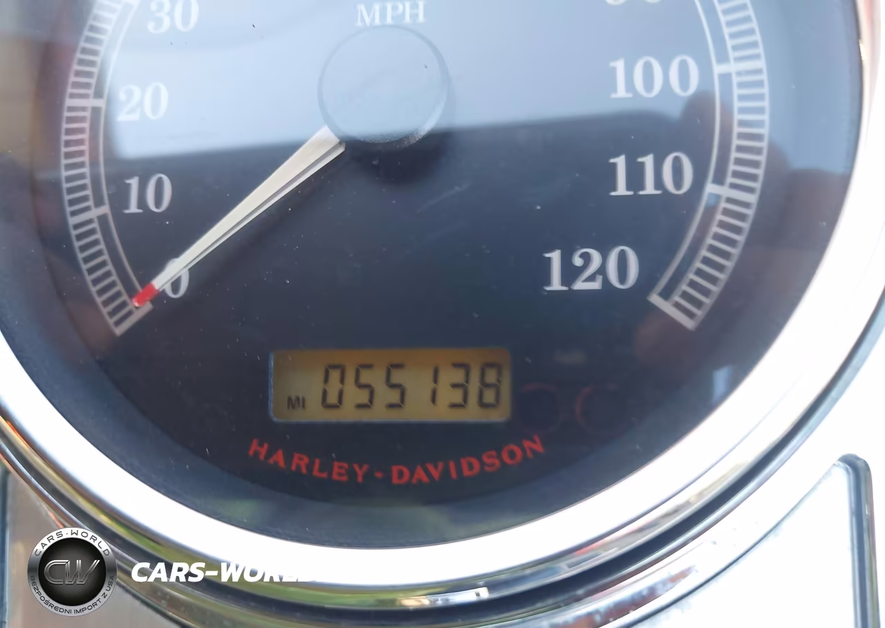 2010 Harley-Davidson Flhrc VIN:1HD1FR410AB655970 - 7