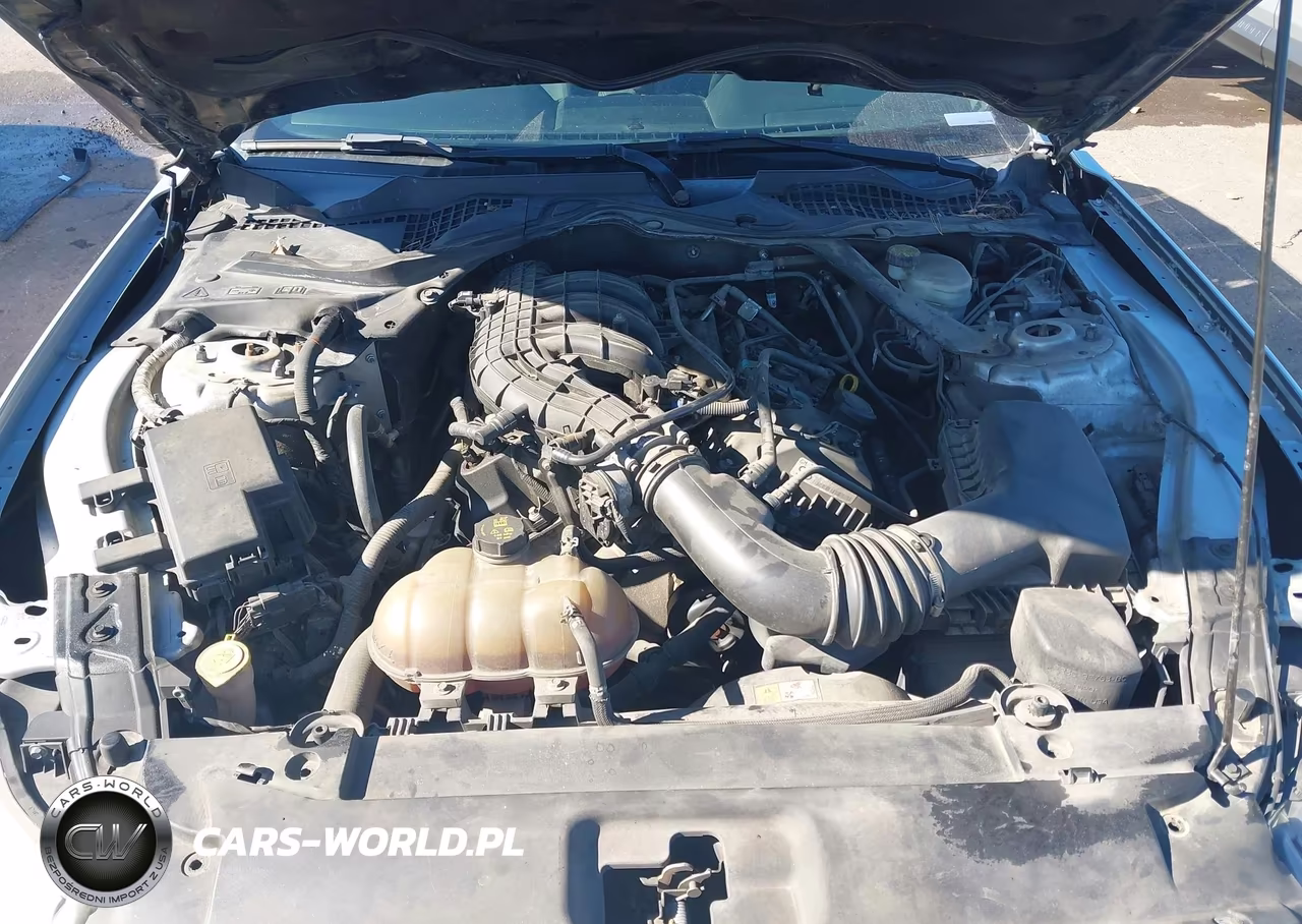 2016 Ford Mustang V6 VIN:1FATP8EM5G5281024 - 10