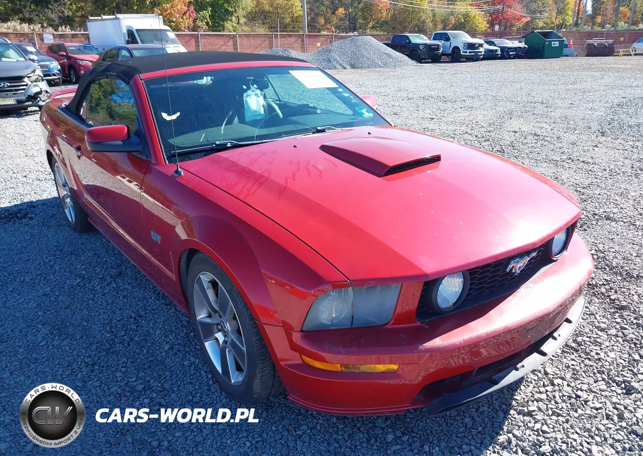 2008 Ford Mustang Gt Deluxe-Gt Premium VIN:1ZVHT85H685119576 - 12