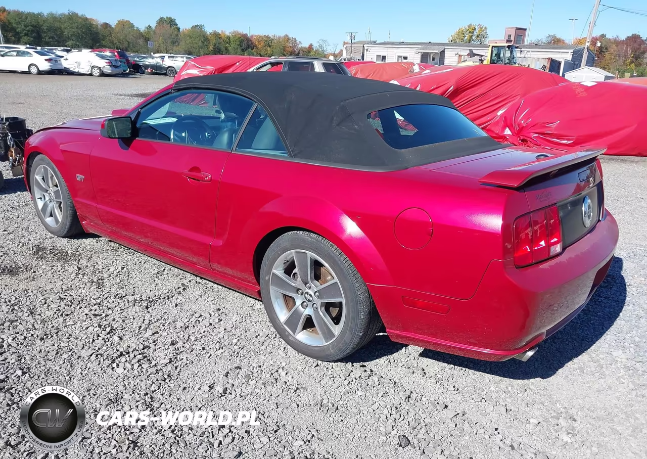 2008 Ford Mustang Gt Deluxe-Gt Premium VIN:1ZVHT85H685119576 - 3
