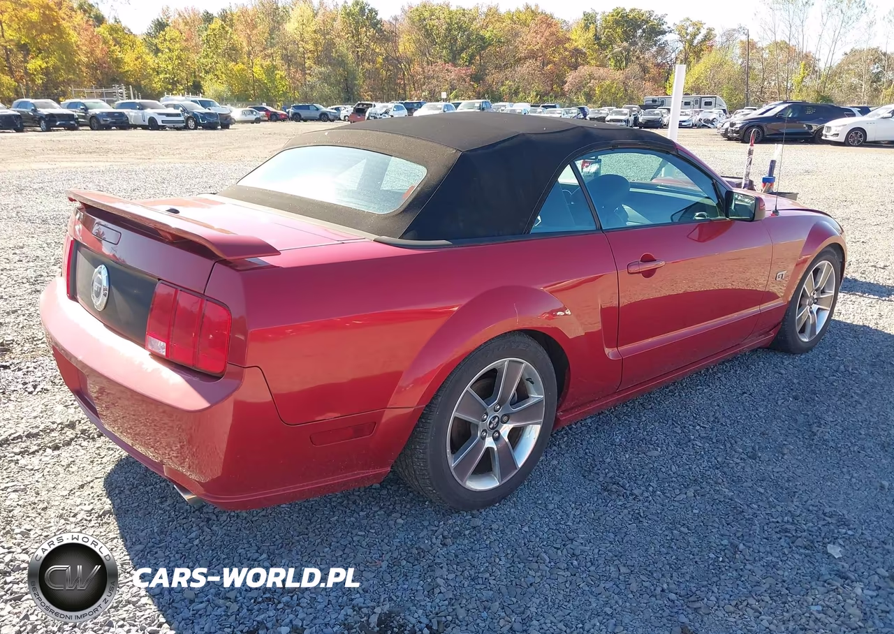 2008 Ford Mustang Gt Deluxe-Gt Premium VIN:1ZVHT85H685119576 - 4
