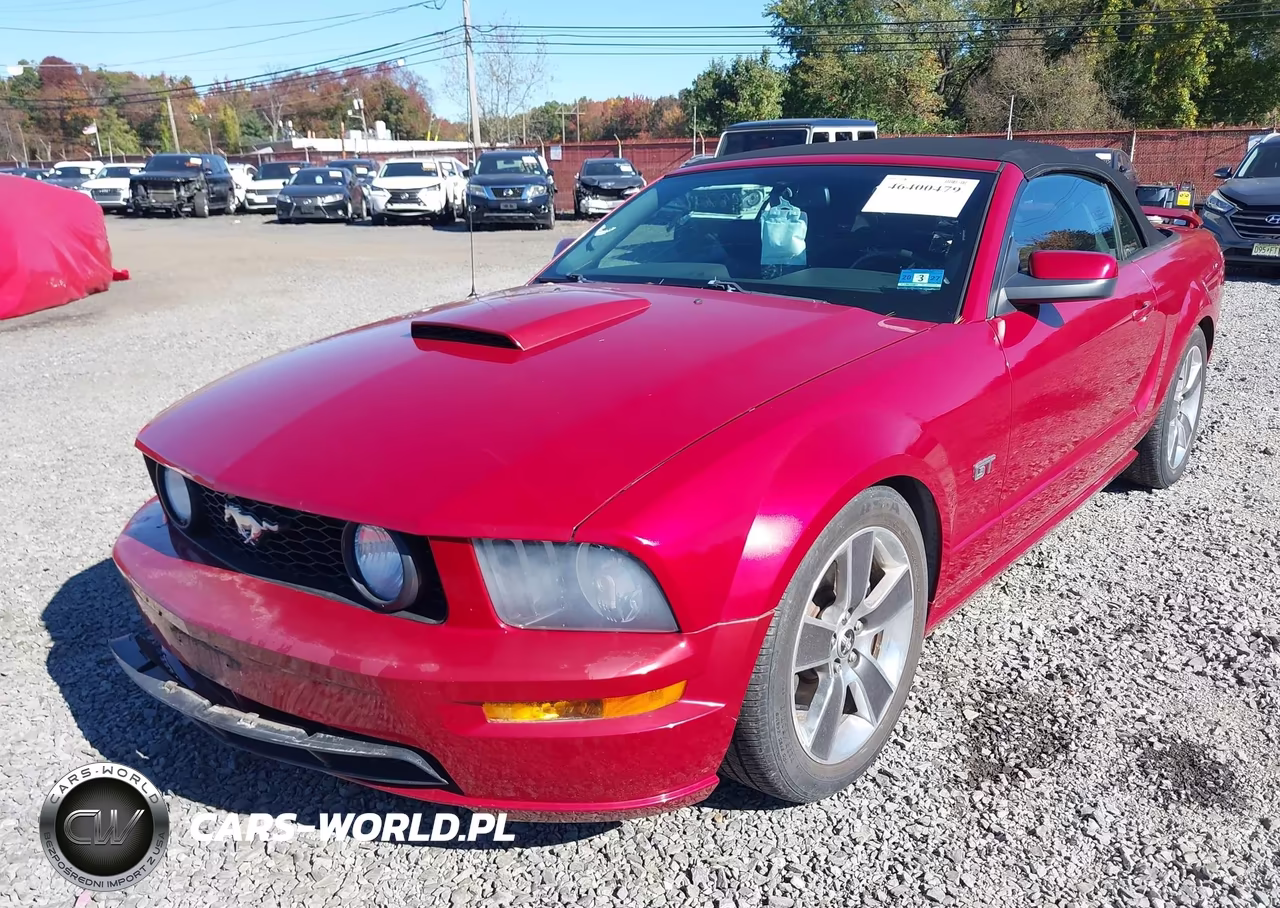 2008 Ford Mustang Gt Deluxe-Gt Premium VIN:1ZVHT85H685119576 - 6