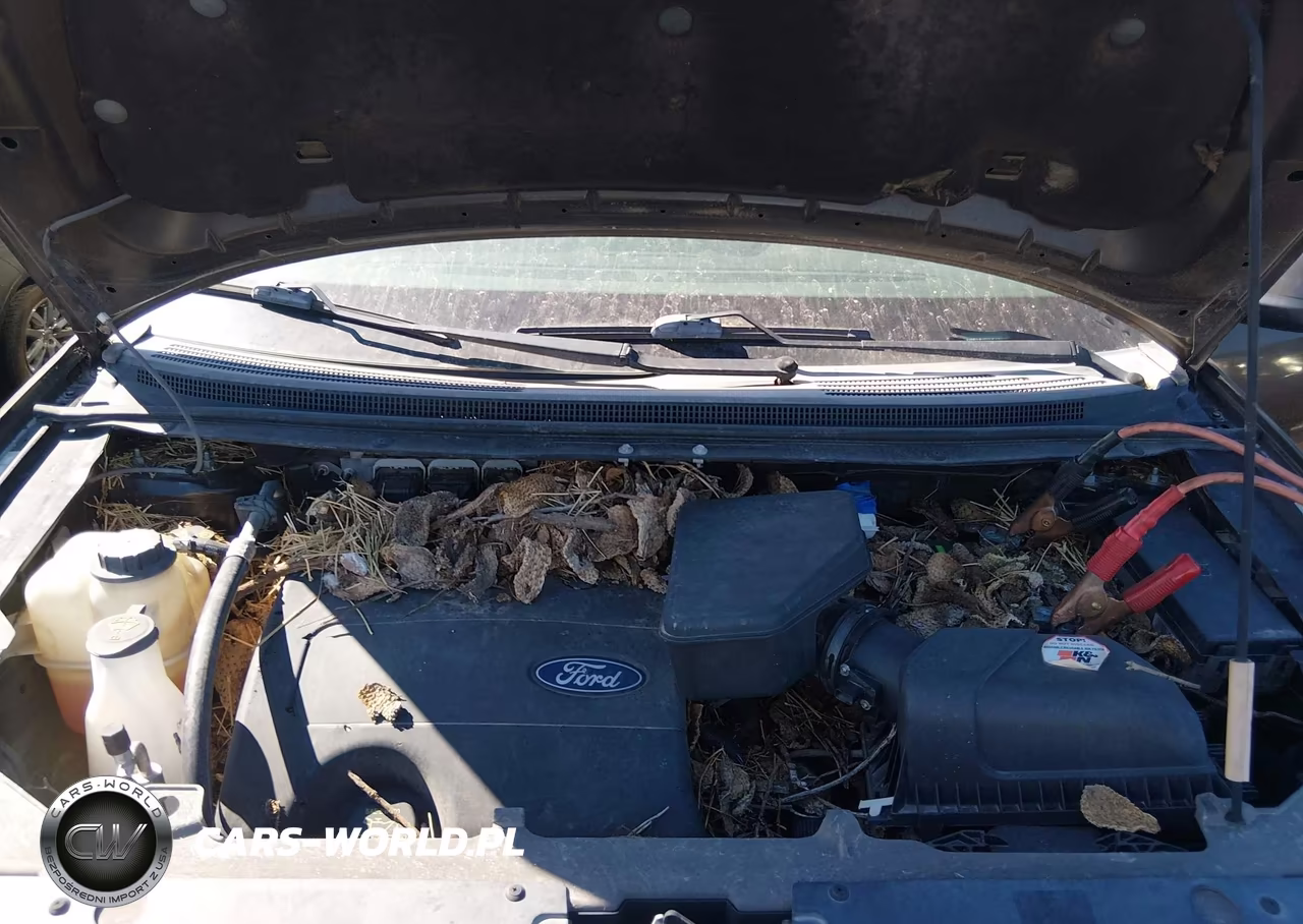 2011 Ford Edge Sel VIN:2FMDK3JC8BBB15013 - 10