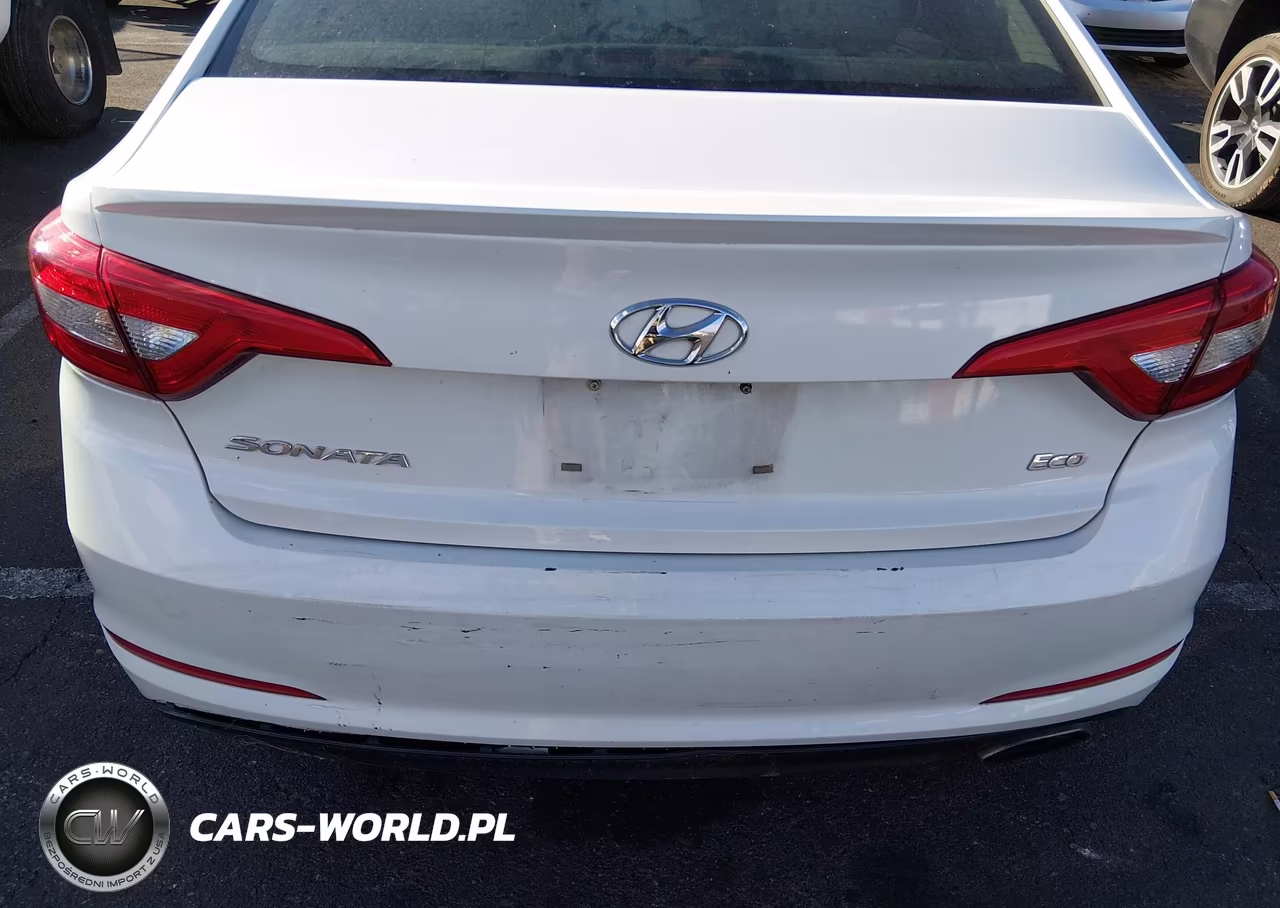 2015 Hyundai Sonata Eco VIN:5NPE24AA9FH253201 - 6