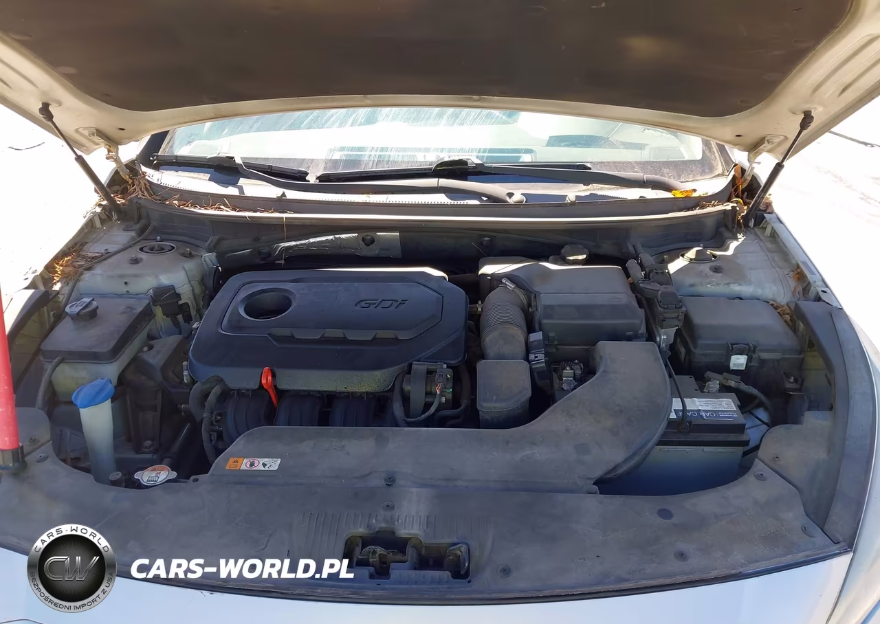 2015 Hyundai Sonata Se VIN:5NPE24AF5FH149901 - 10