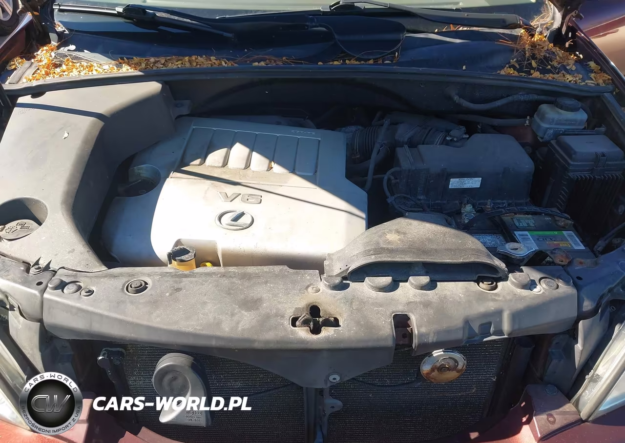 2008 Lexus Rx 350 VIN:JTJHK31U782850690 - 10
