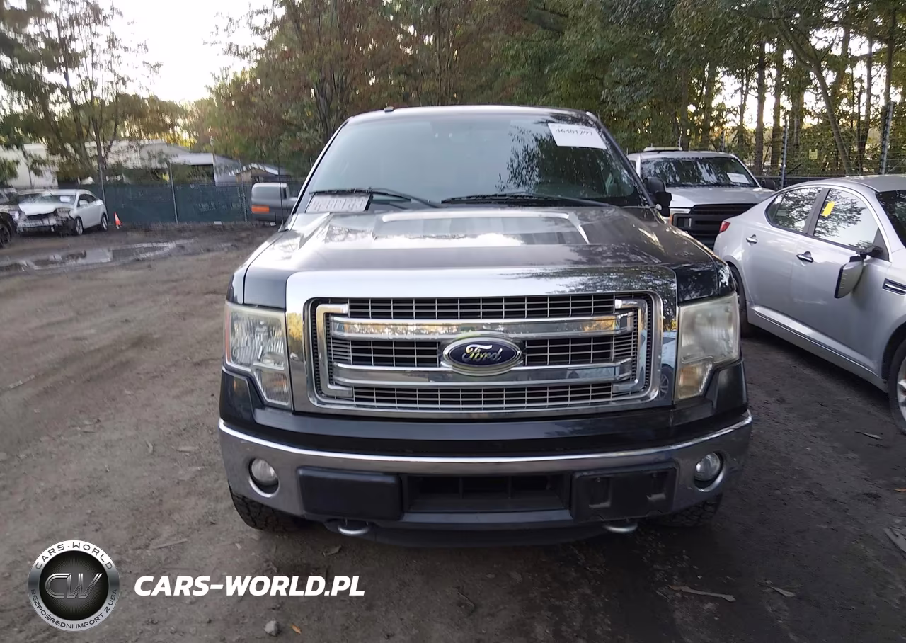 2014 Ford F-150 Xlt VIN:1FTFW1ET8EKG27560 - 12