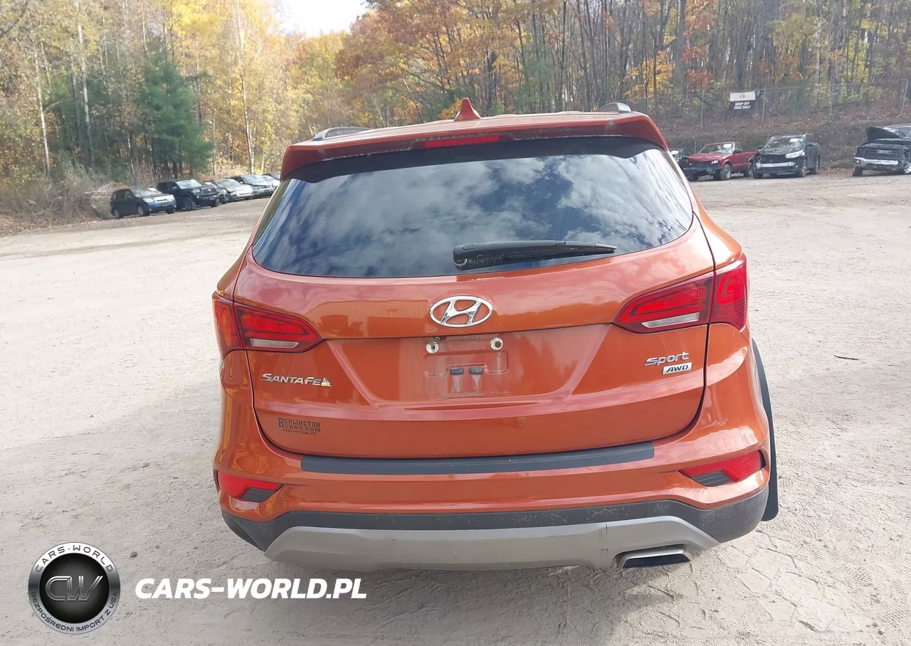 2017 Hyundai Santa Fe Sport 2.4L VIN:5XYZUDLB9HG468332 - 16