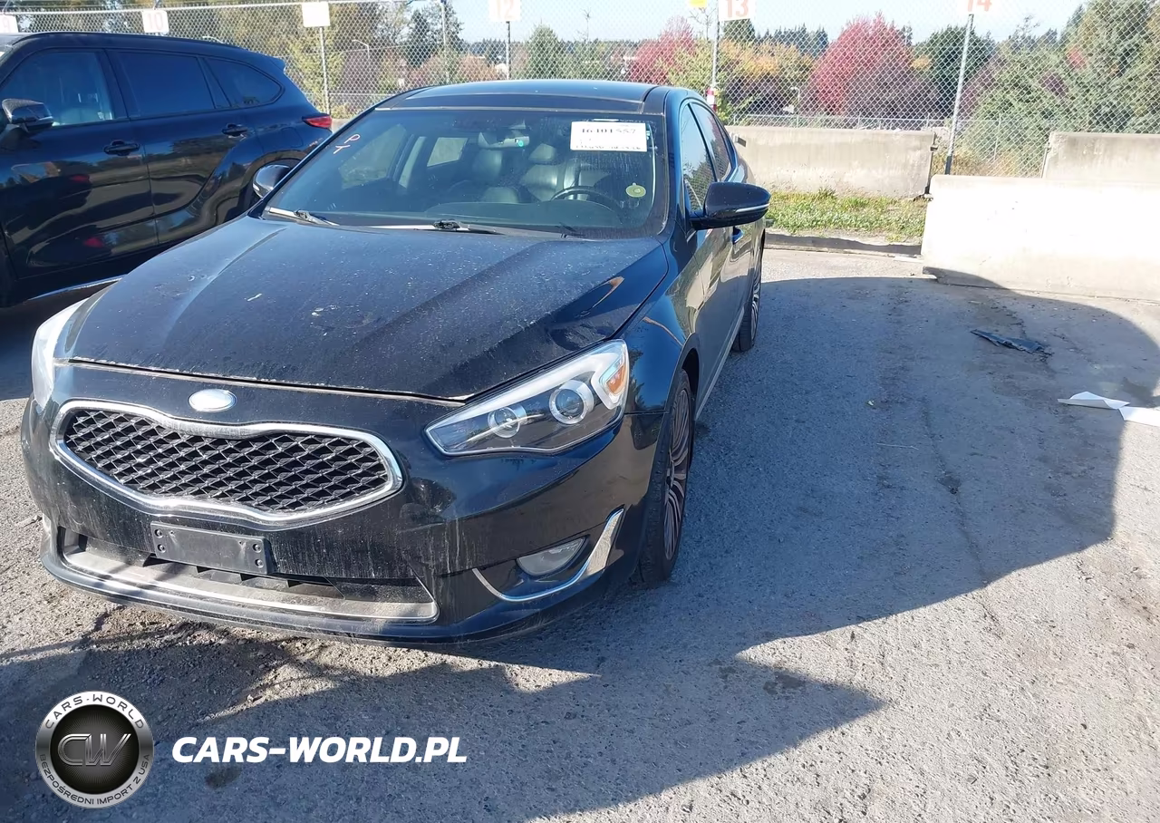 2014 Kia Cadenza Premium VIN:KNALN4D79E5132212 - 2