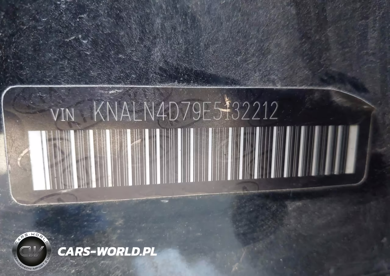 2014 Kia Cadenza Premium VIN:KNALN4D79E5132212 - 9