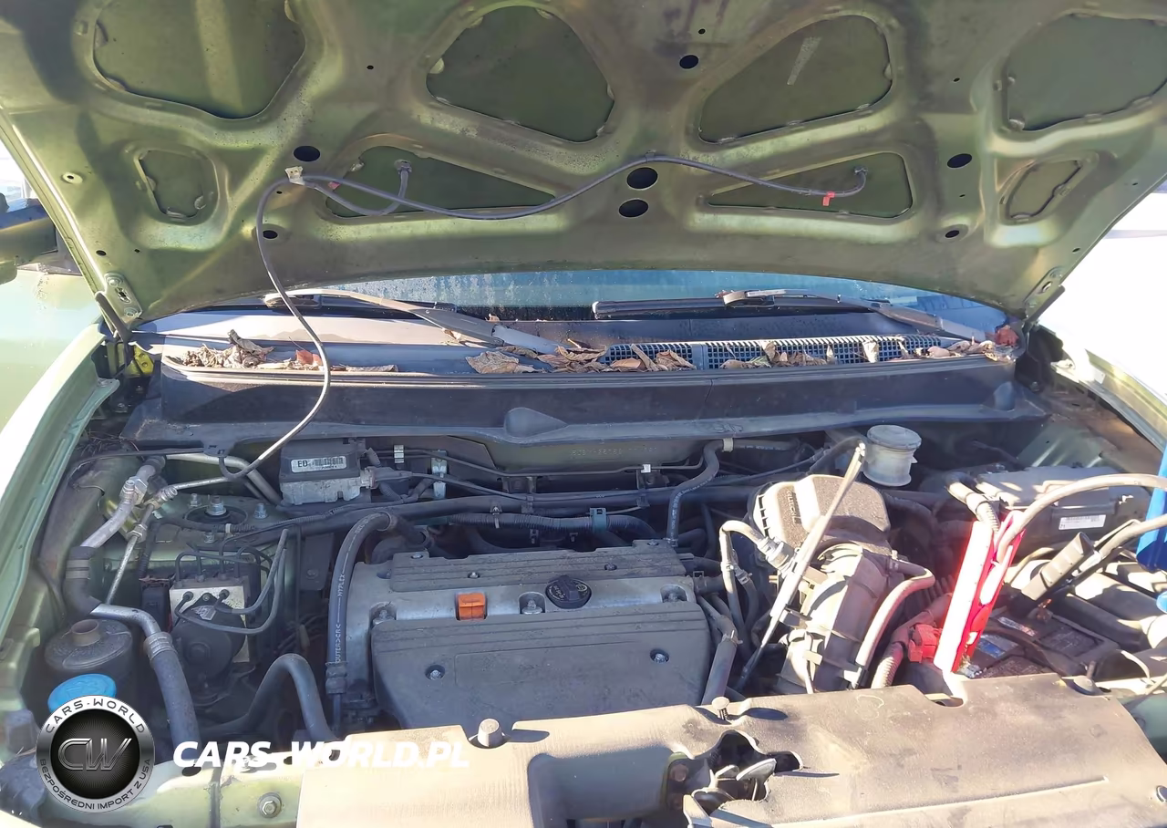 2006 Honda Element Ex-P VIN:5J6YH28786L004680 - 10
