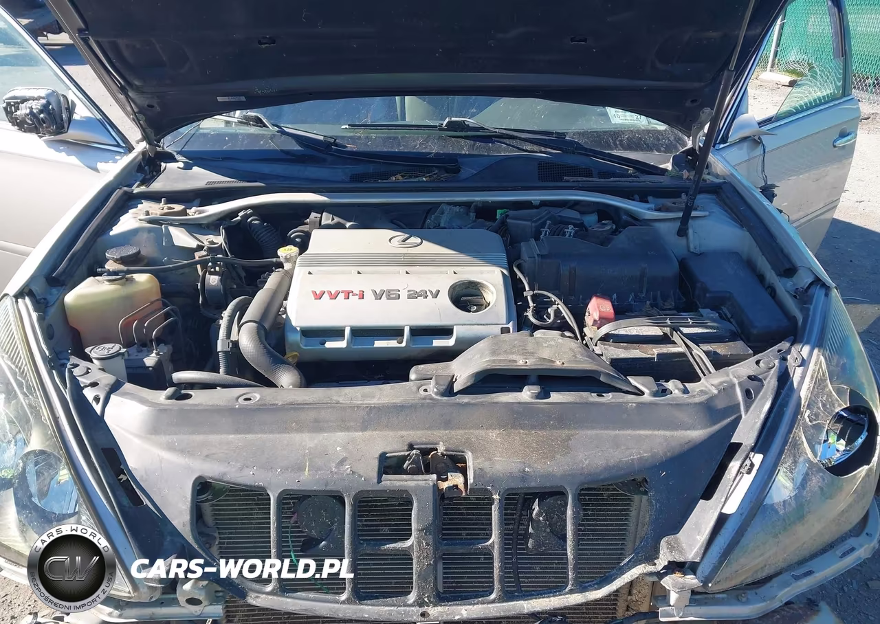 2002 Lexus Es 300 VIN:JTHBF30G325004005 - 10