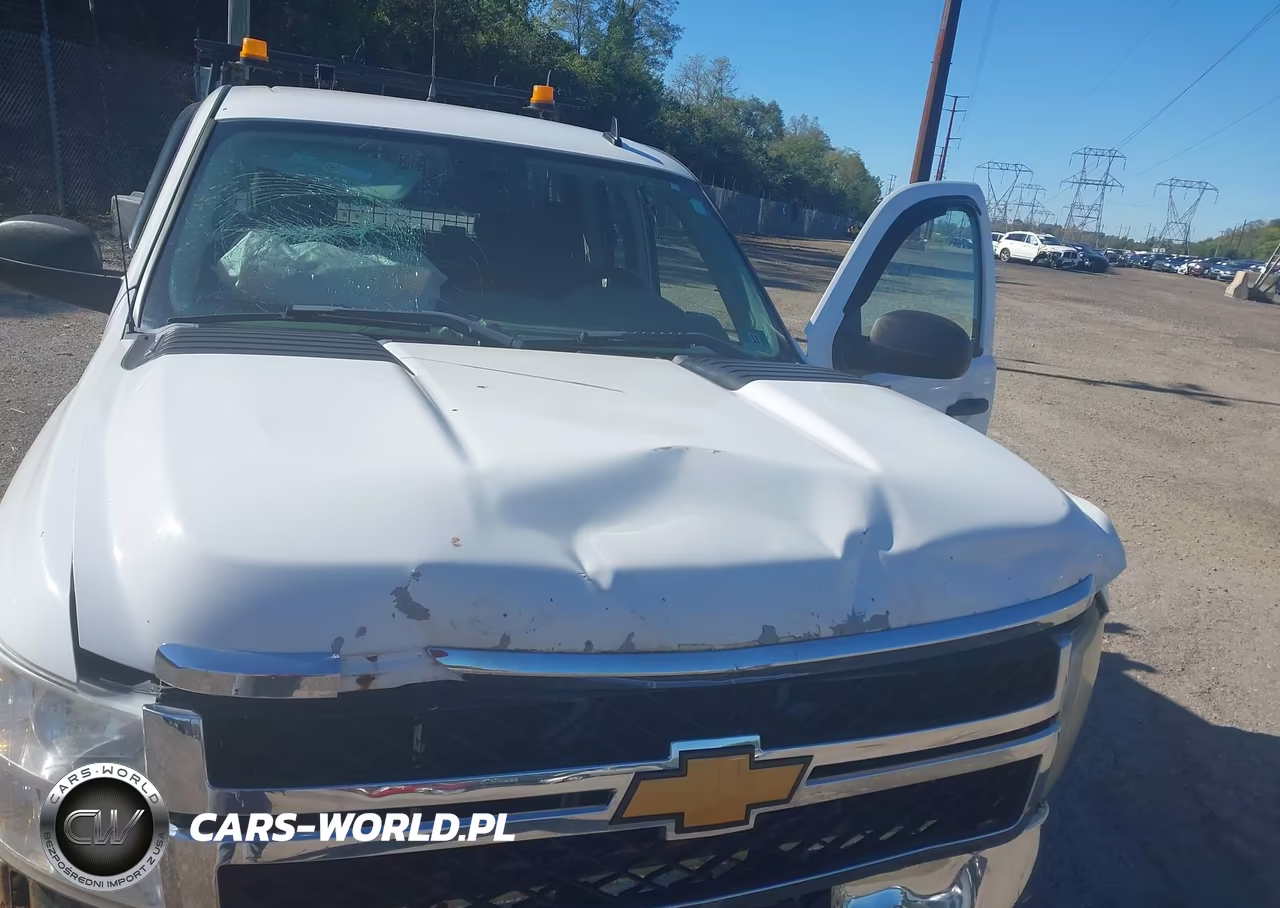 2013 Chevrolet Silverado 2500Hd Work Truck VIN:1GC2KVCB3DZ367635 - 10