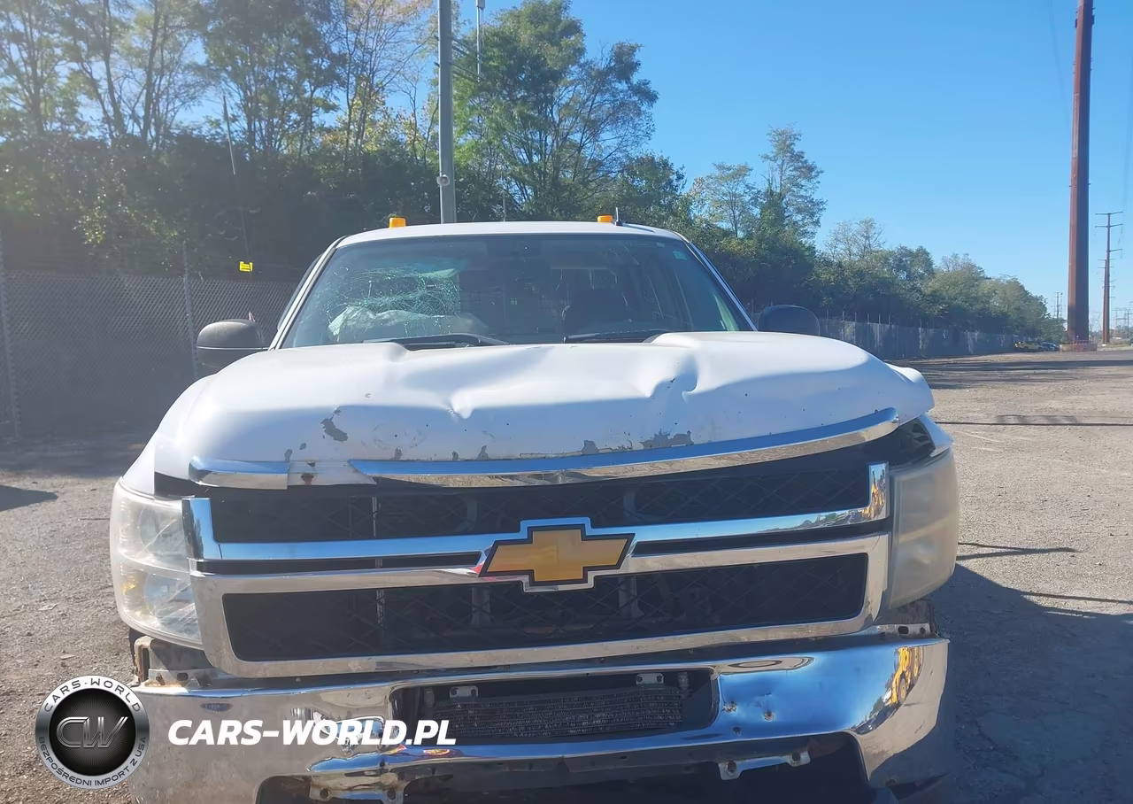 2013 Chevrolet Silverado 2500Hd Work Truck VIN:1GC2KVCB3DZ367635 - 12