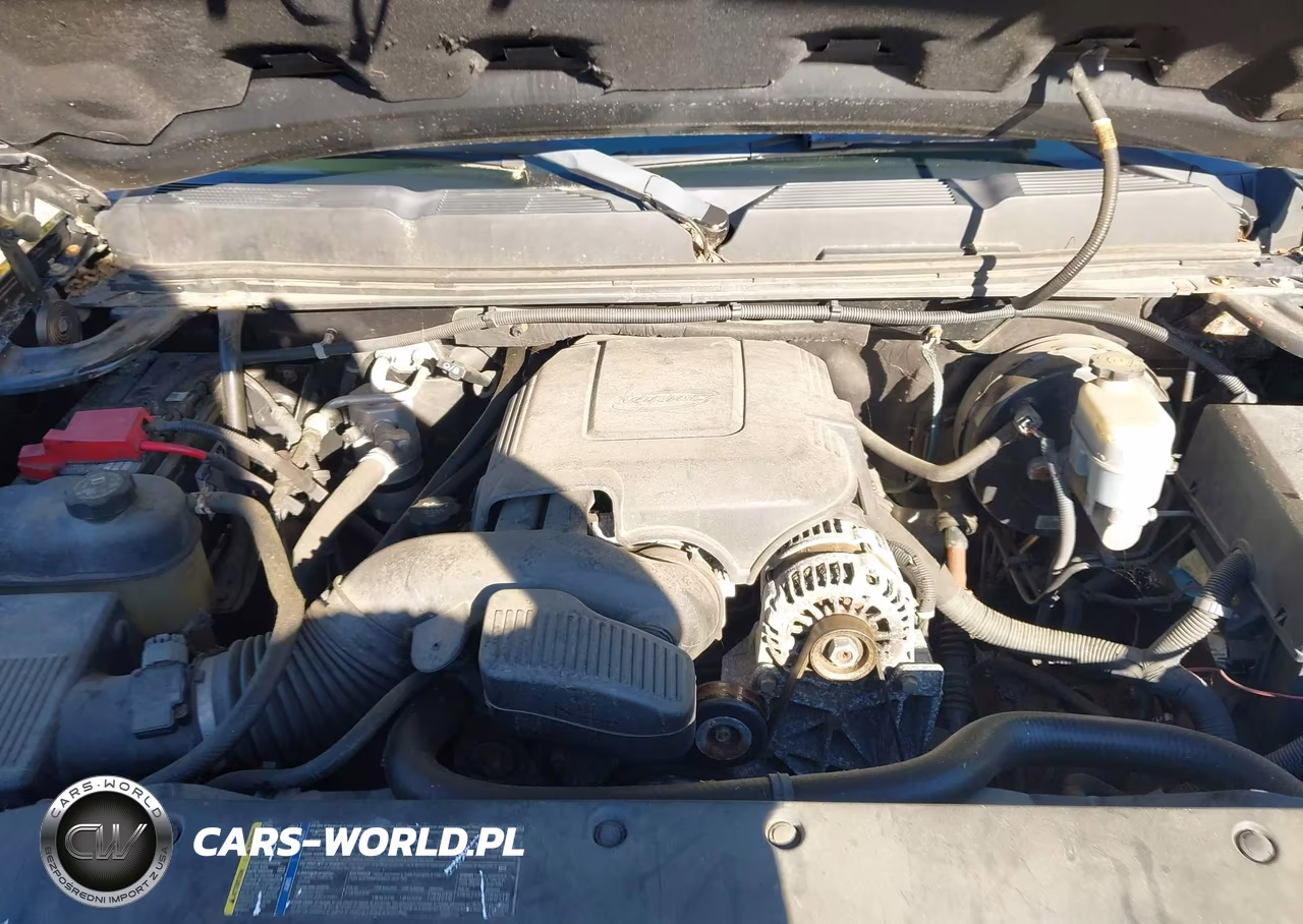 2010 Chevrolet Silverado 1500 Lt VIN:1GCSKSE31AZ109193 - 10