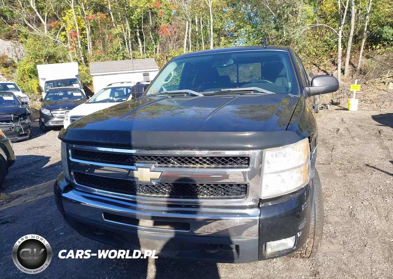 2010 Chevrolet Silverado 1500 Lt VIN:1GCSKSE31AZ109193 - 12