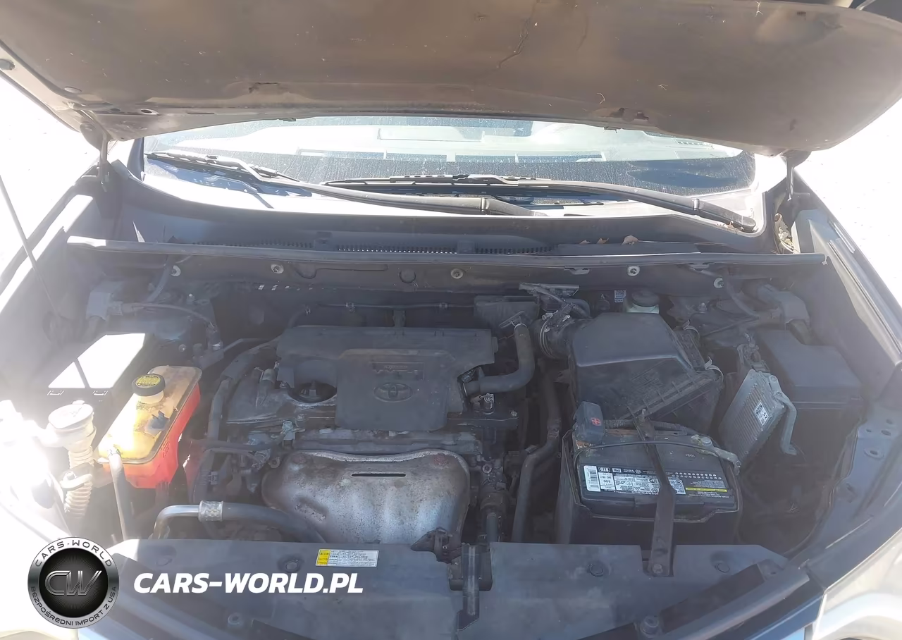 2016 Toyota Rav4 Xle VIN:2T3RFREV5GW429316 - 10