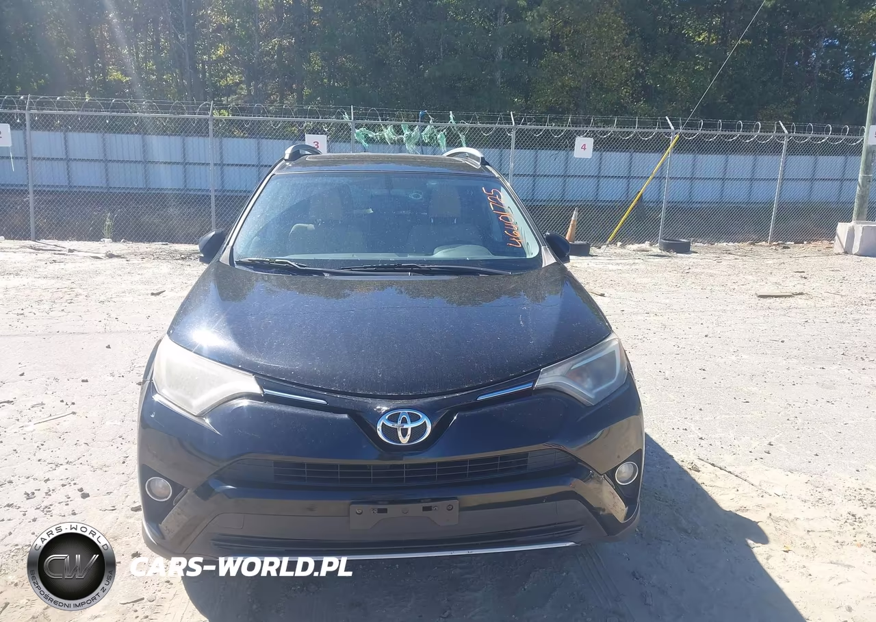 2016 Toyota Rav4 Xle VIN:2T3RFREV5GW429316 - 12