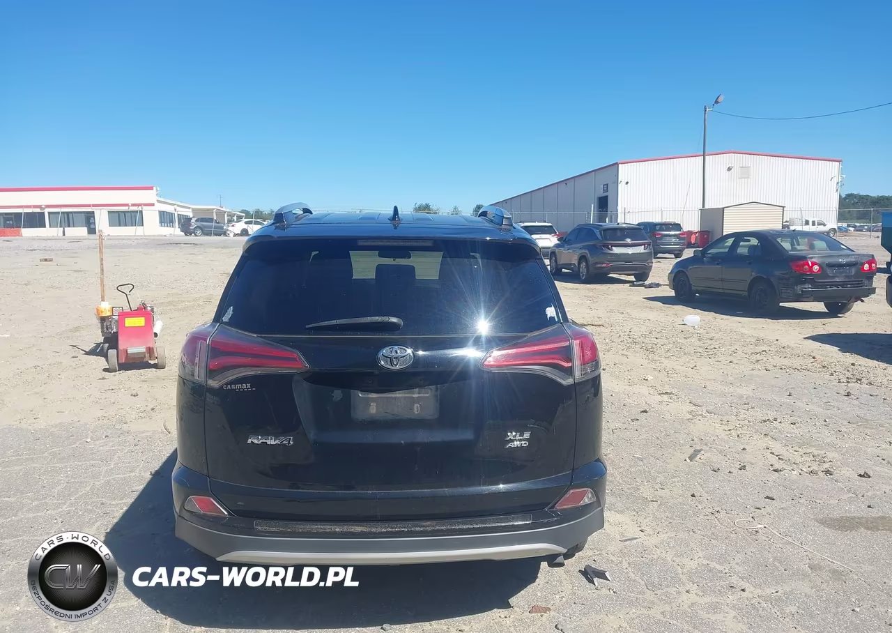 2016 Toyota Rav4 Xle VIN:2T3RFREV5GW429316 - 16