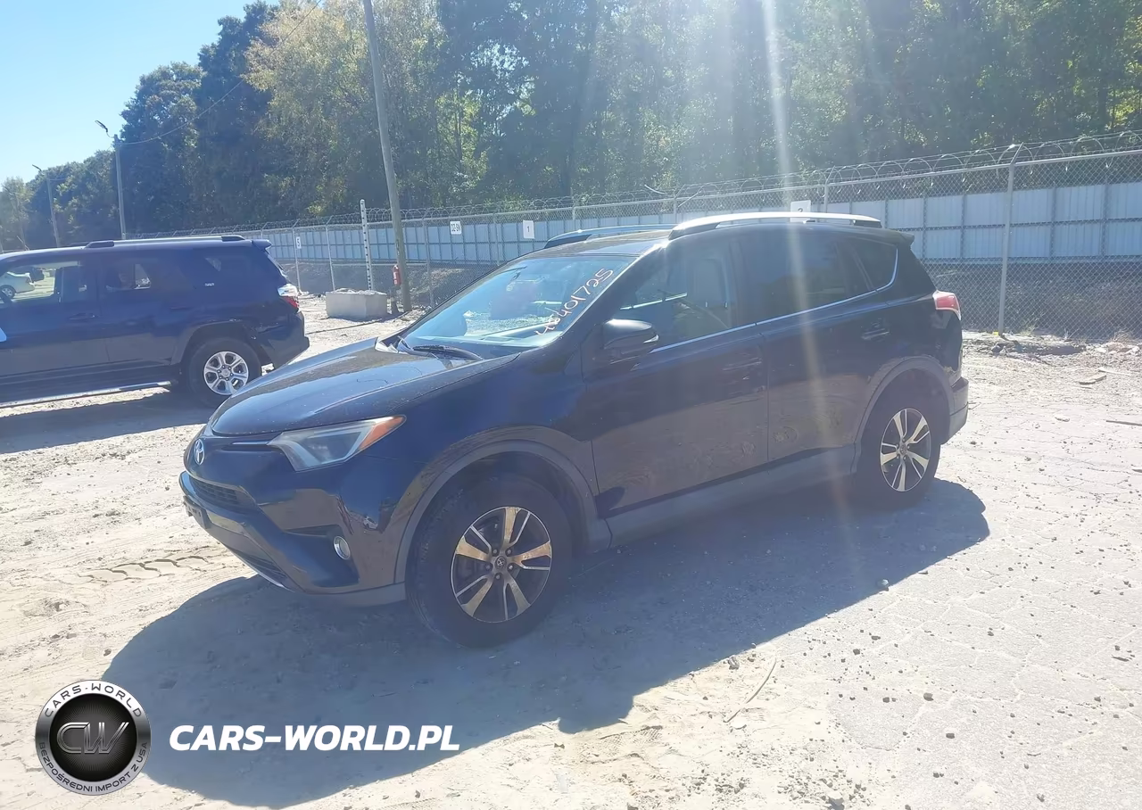 2016 Toyota Rav4 Xle VIN:2T3RFREV5GW429316 - 2