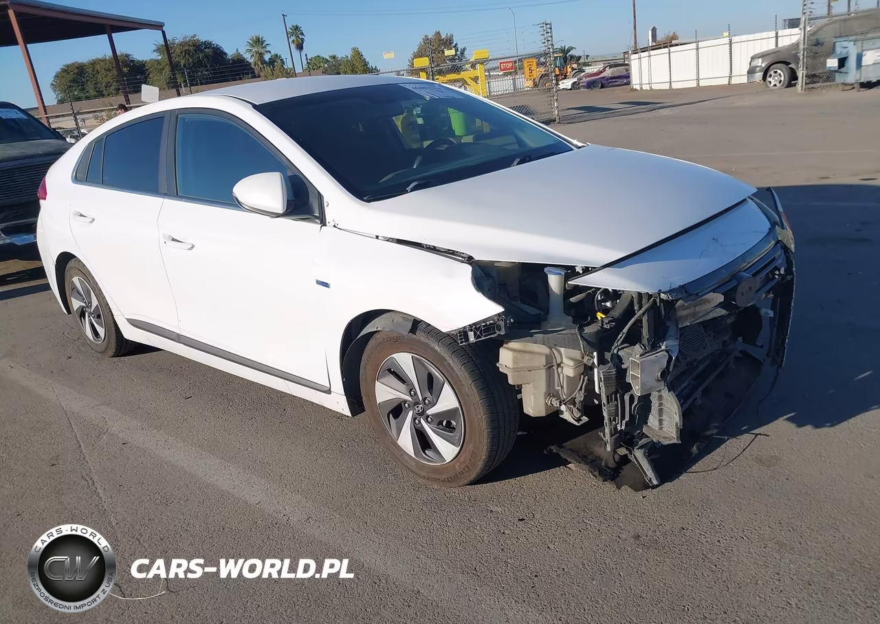 2017 Hyundai Ioniq Hybrid Sel VIN:KMHC75LC1HU049607 - 1