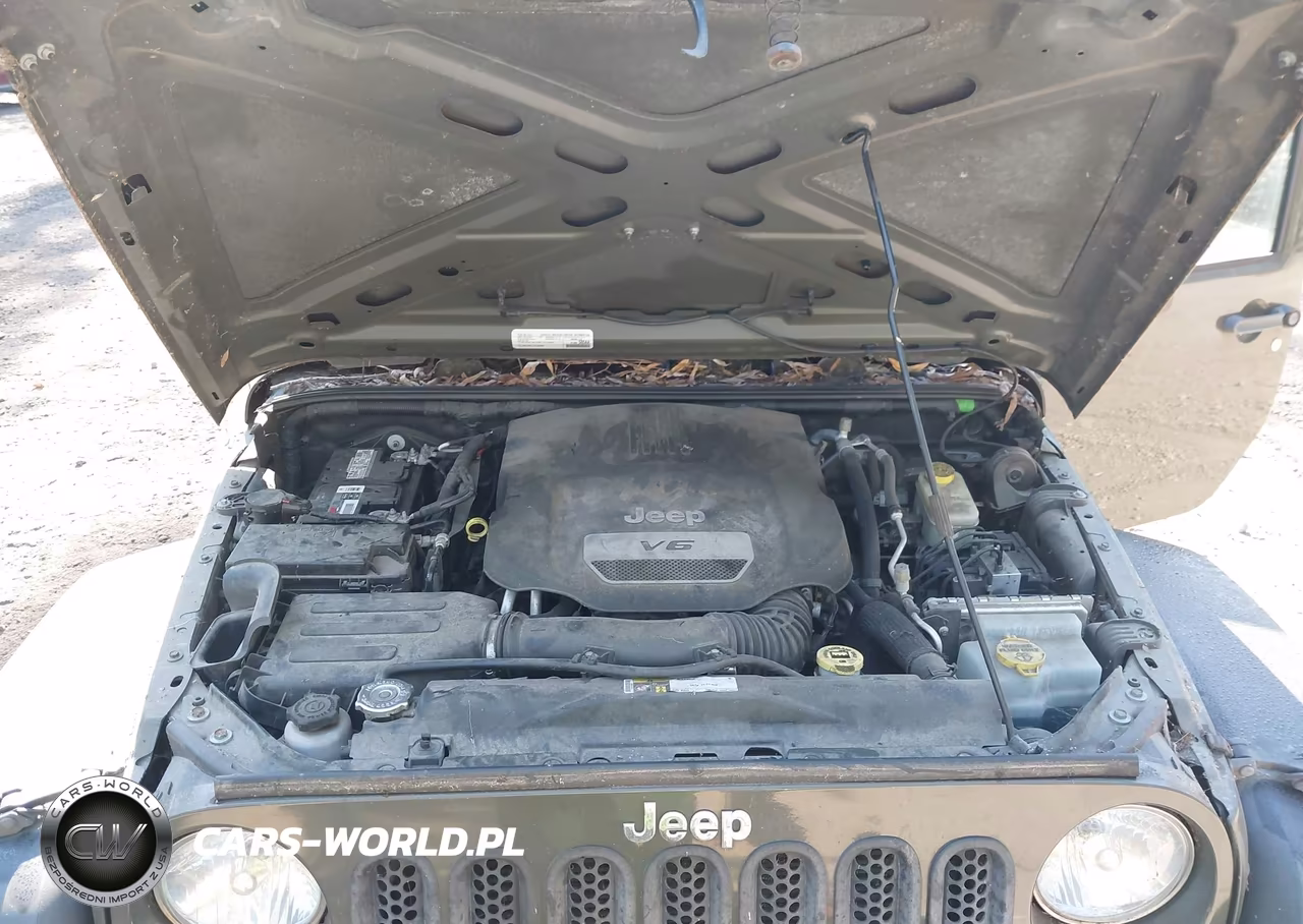 2016 Jeep Wrangler Unlimited Sport VIN:1C4HJWDG8GL142602 - 10