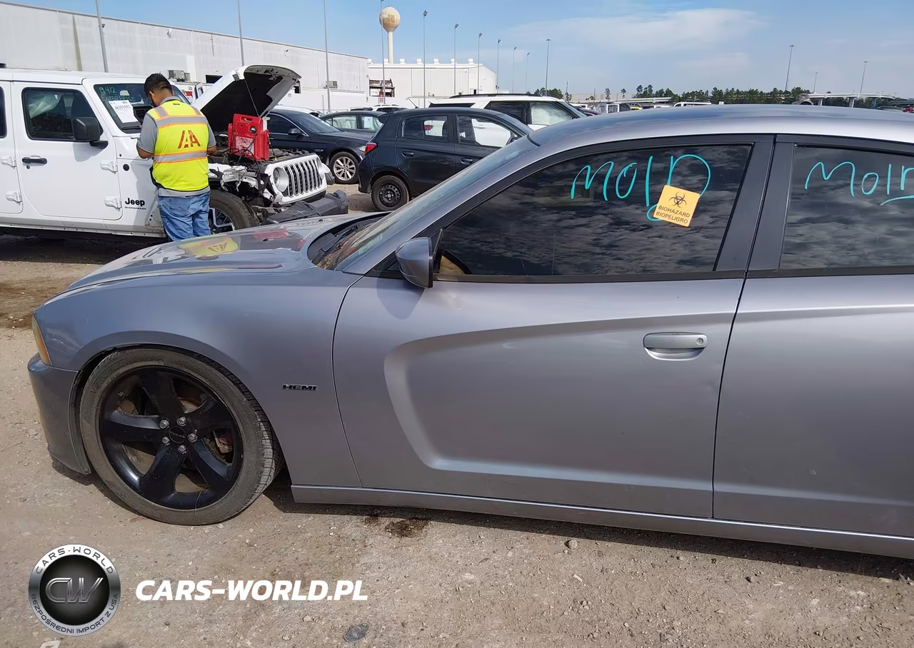2014 Dodge Charger R-T Plus VIN:2C3CDXCT9EH155766 - 14