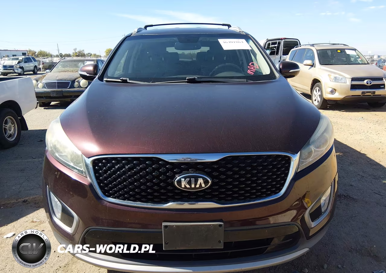 2016 Kia Sorento 3.3L Ex VIN:5XYPHDA58GG029744 - 12