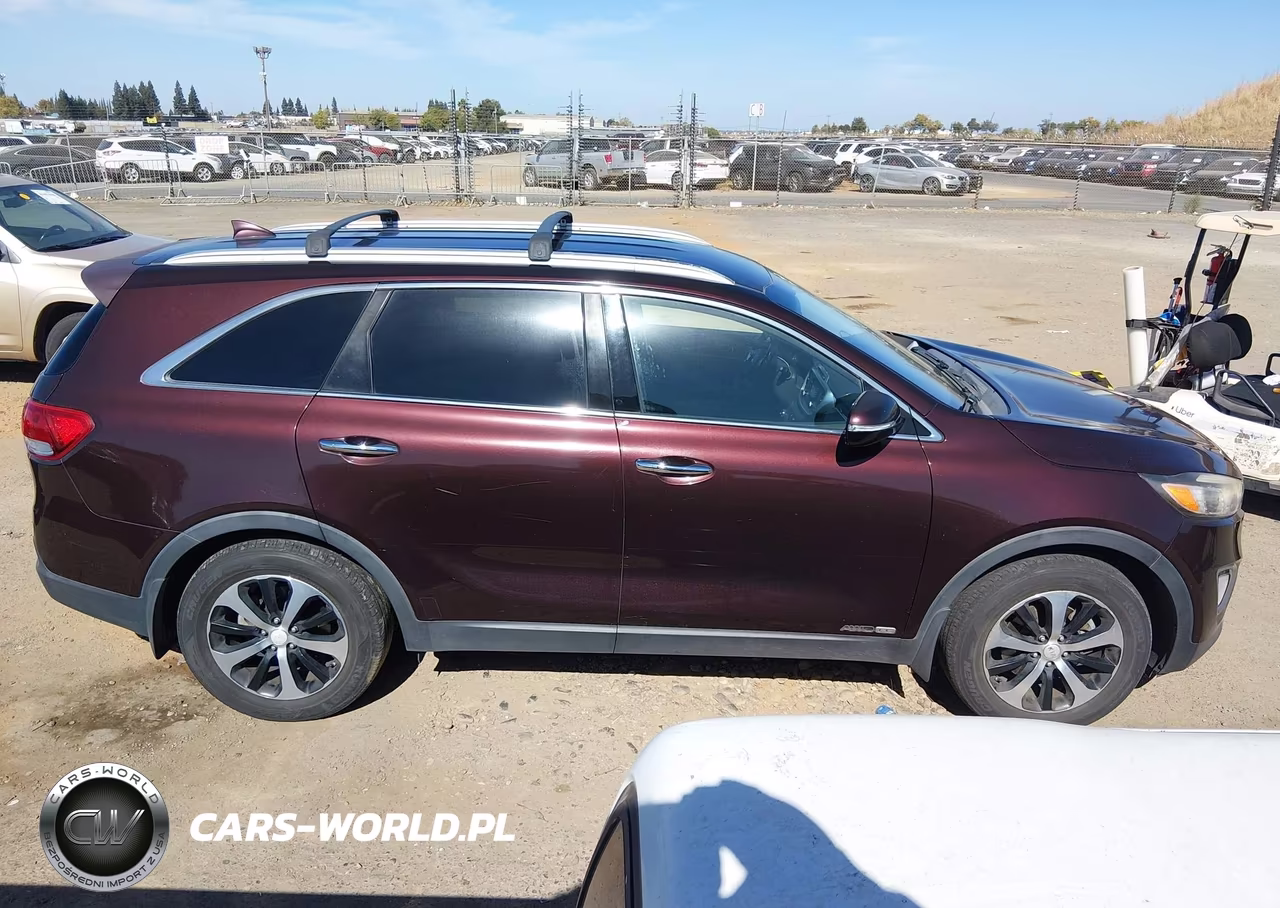 2016 Kia Sorento 3.3L Ex VIN:5XYPHDA58GG029744 - 13