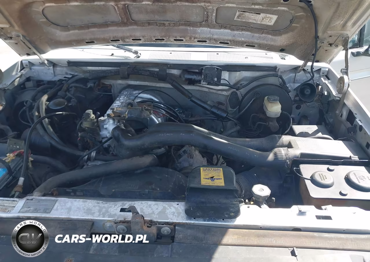 1992 Ford F150 VIN:1FTCF15N6NKA93950 - 10