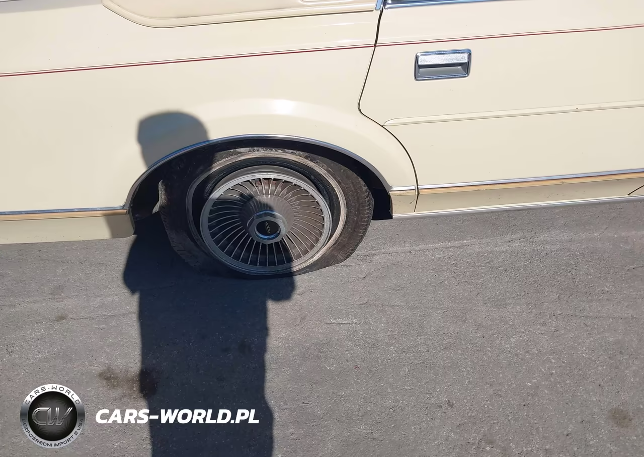 1985 Lincoln Town Car VIN:1LNBP96F8FY678618 - 13