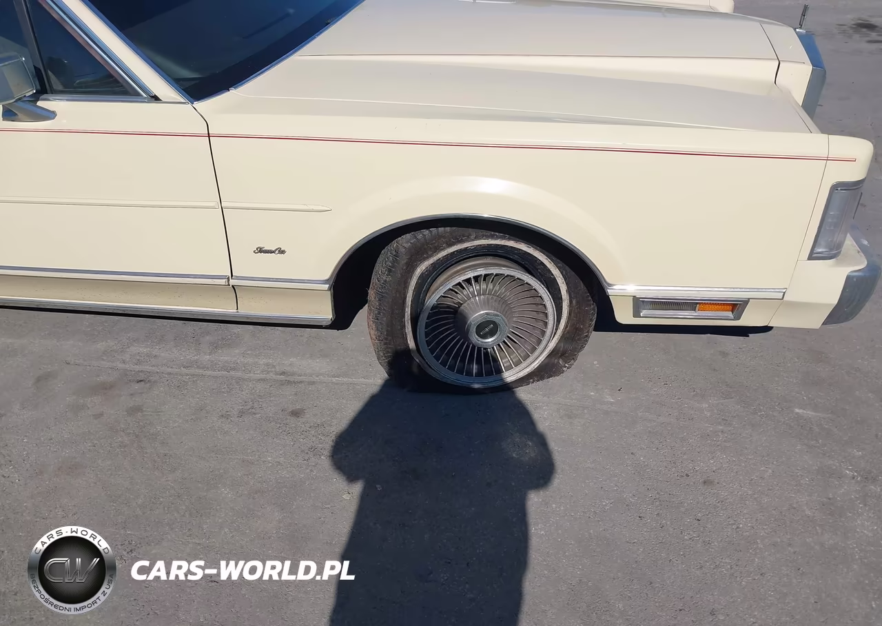 1985 Lincoln Town Car VIN:1LNBP96F8FY678618 - 6