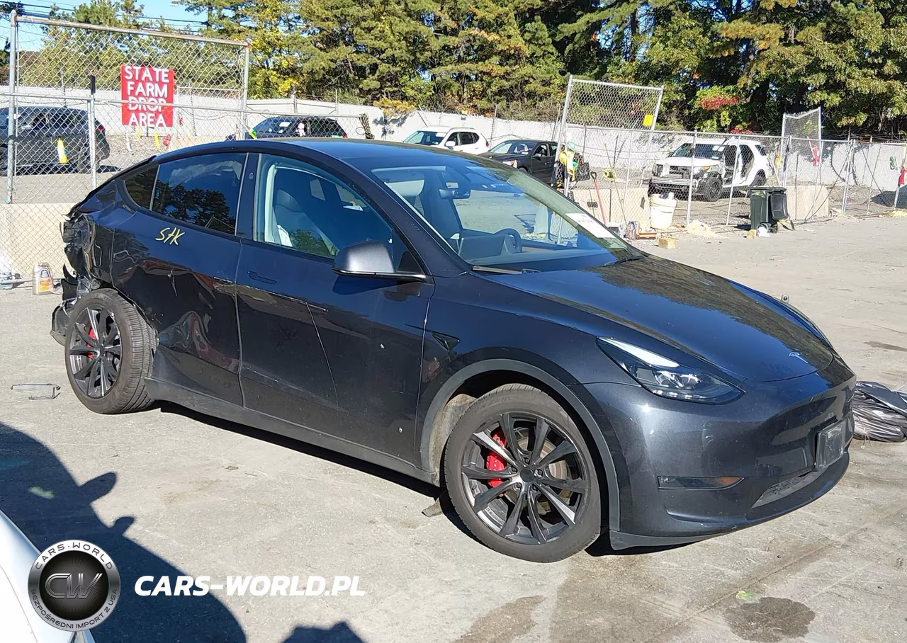 2024 Tesla Model Y Performance Dual Motor All-Wheel Drive