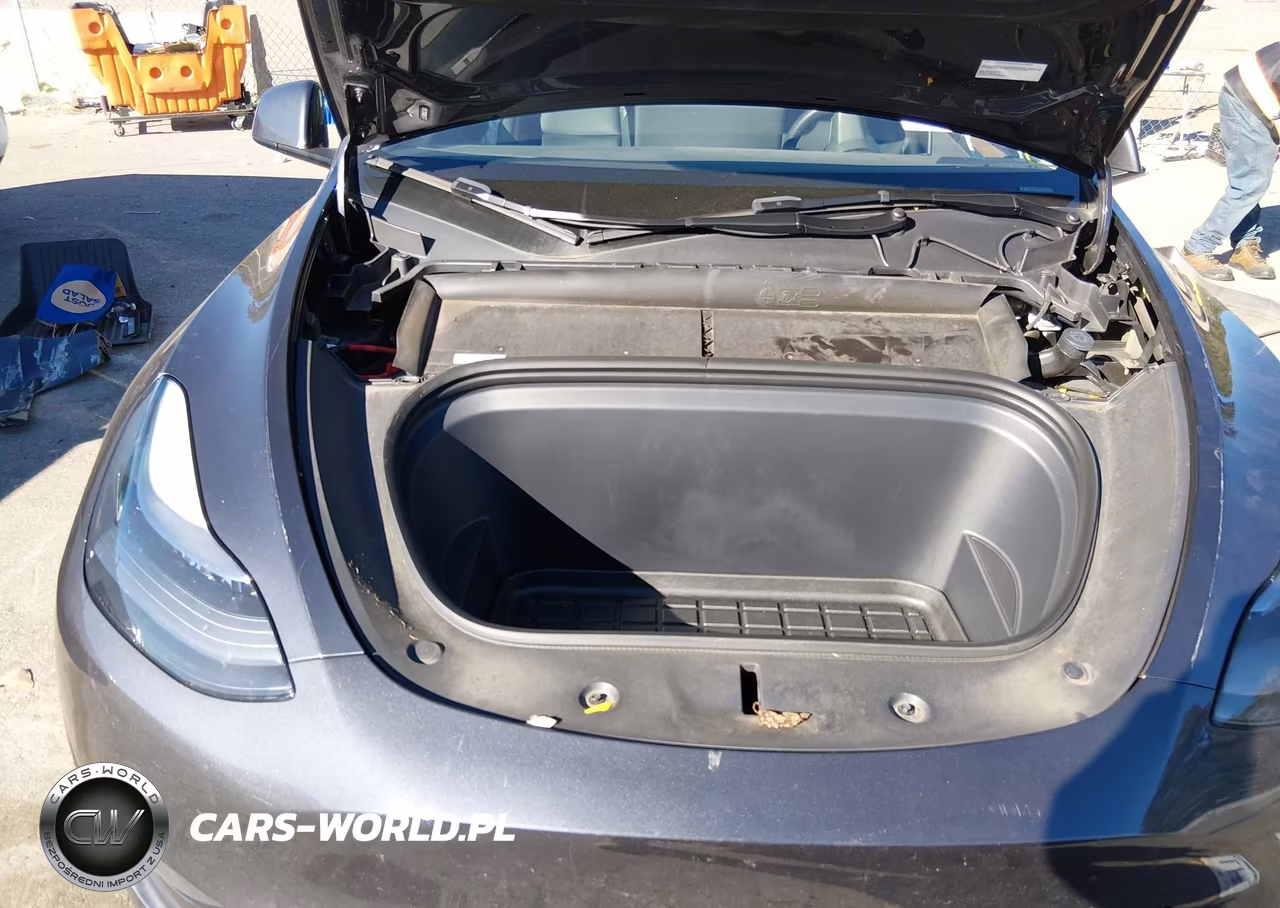 2024 Tesla Model Y Performance Dual Motor All-Wheel Drive VIN:7SAYGDEF9RA264898 - 10