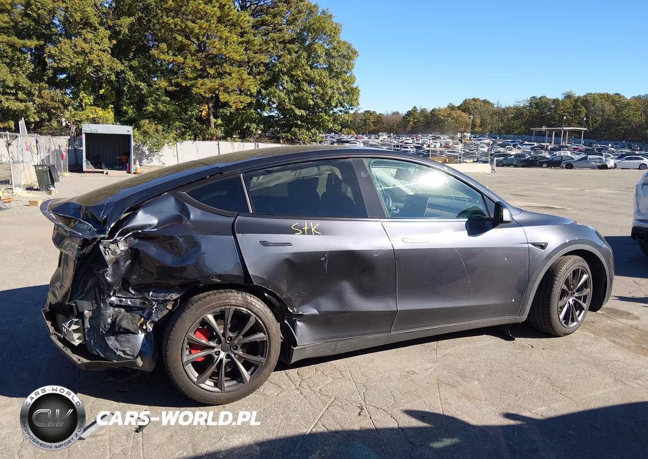 2024 Tesla Model Y Performance Dual Motor All-Wheel Drive VIN:7SAYGDEF9RA264898 - 12