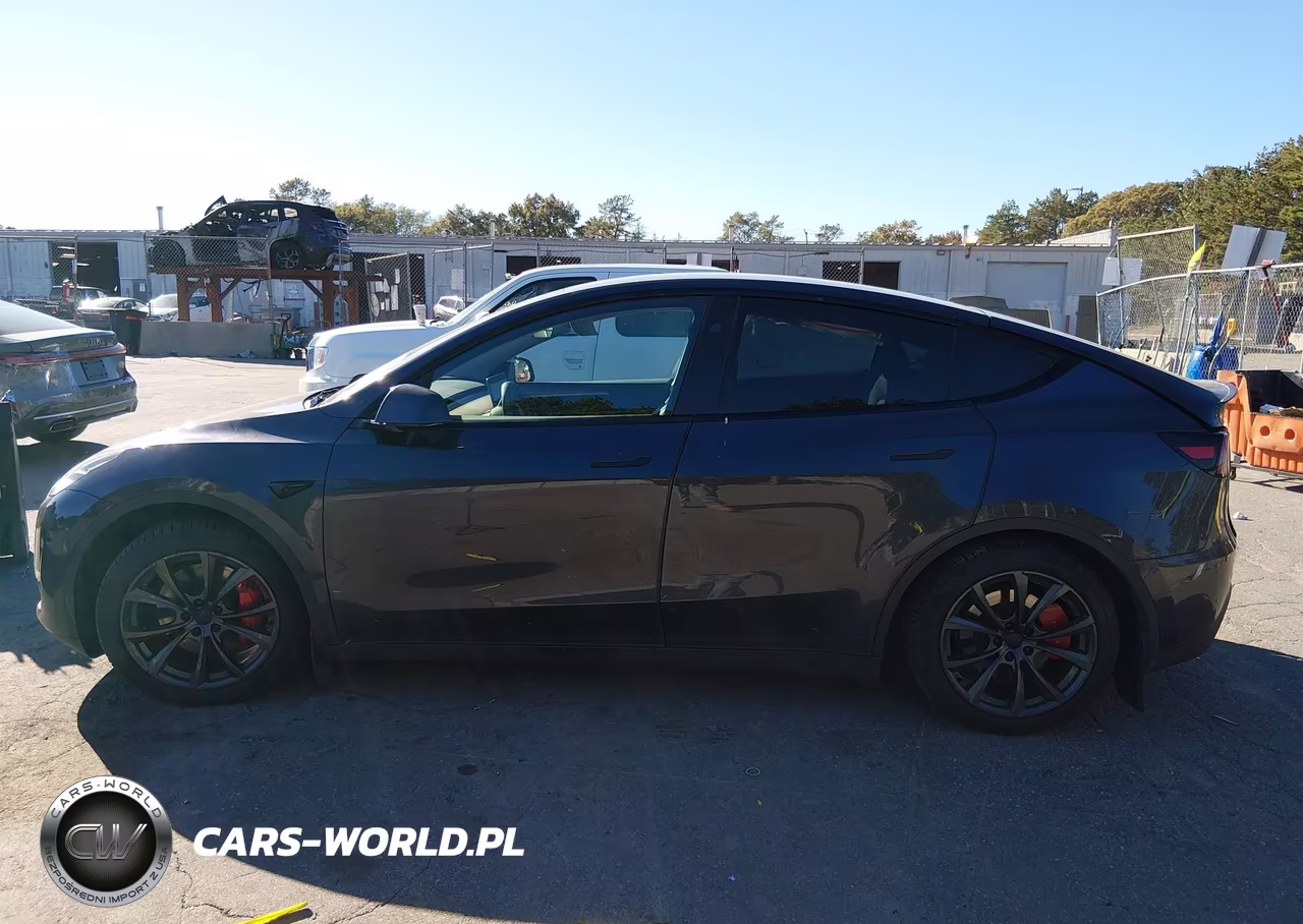 2024 Tesla Model Y Performance Dual Motor All-Wheel Drive VIN:7SAYGDEF9RA264898 - 13