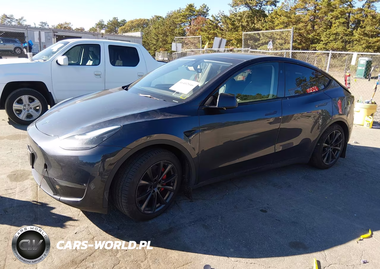 2024 Tesla Model Y Performance Dual Motor All-Wheel Drive VIN:7SAYGDEF9RA264898 - 2