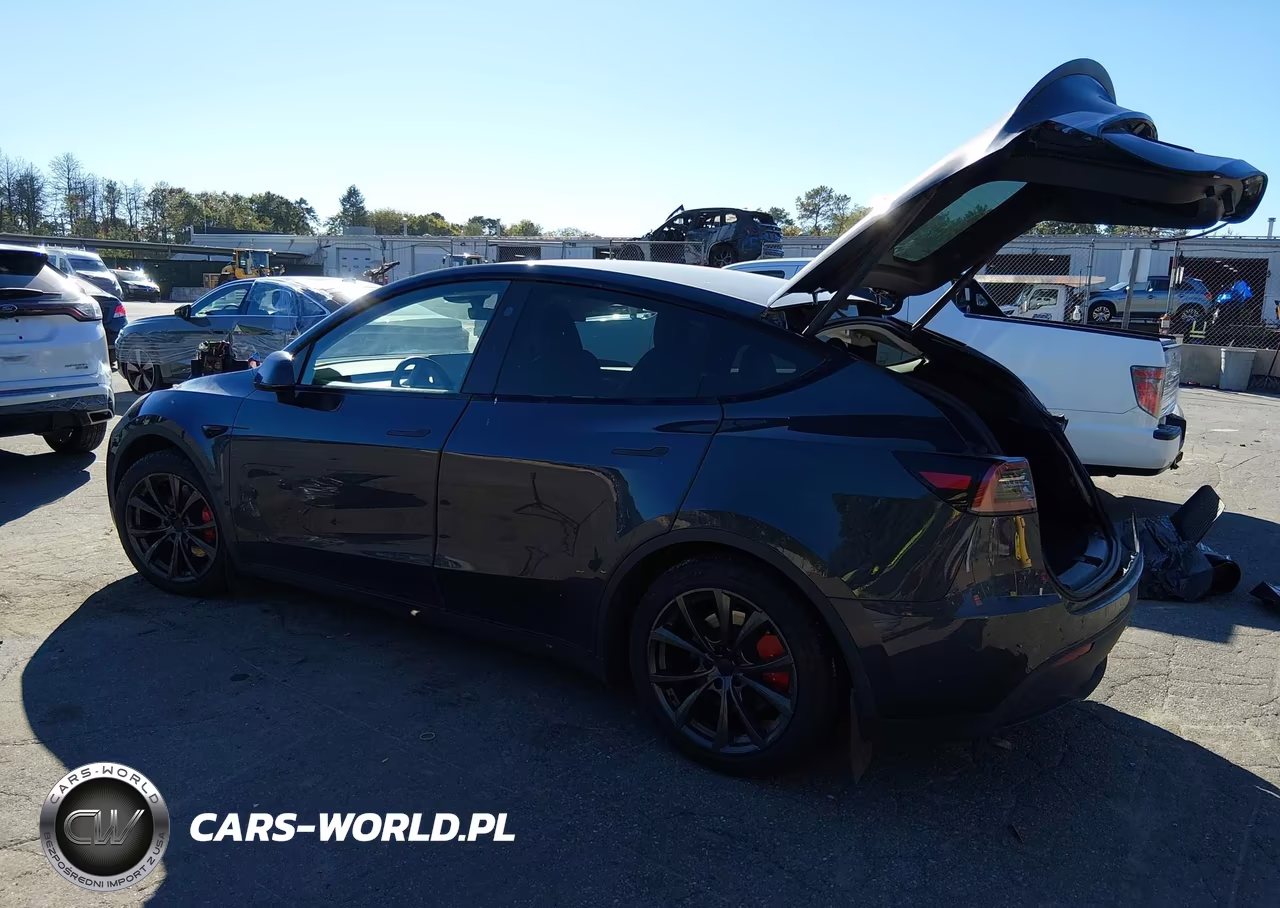 2024 Tesla Model Y Performance Dual Motor All-Wheel Drive VIN:7SAYGDEF9RA264898 - 3