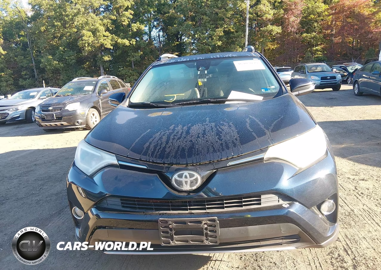 2017 Toyota Rav4 Xle VIN:JTMRFREV8HJ705472 - 12