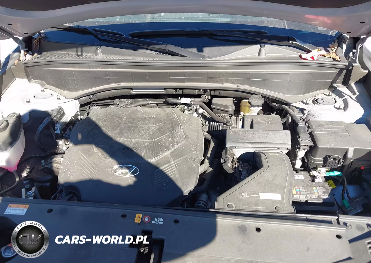 2025 Hyundai Palisade Sel VIN:KM8R24GE4SU950606 - 10