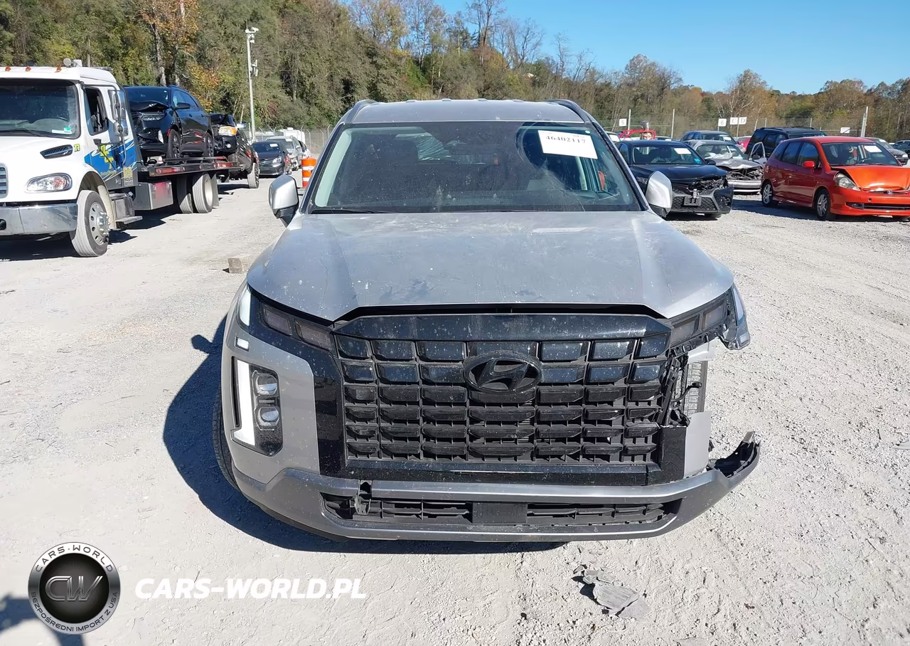 2025 Hyundai Palisade Sel VIN:KM8R24GE4SU950606 - 12