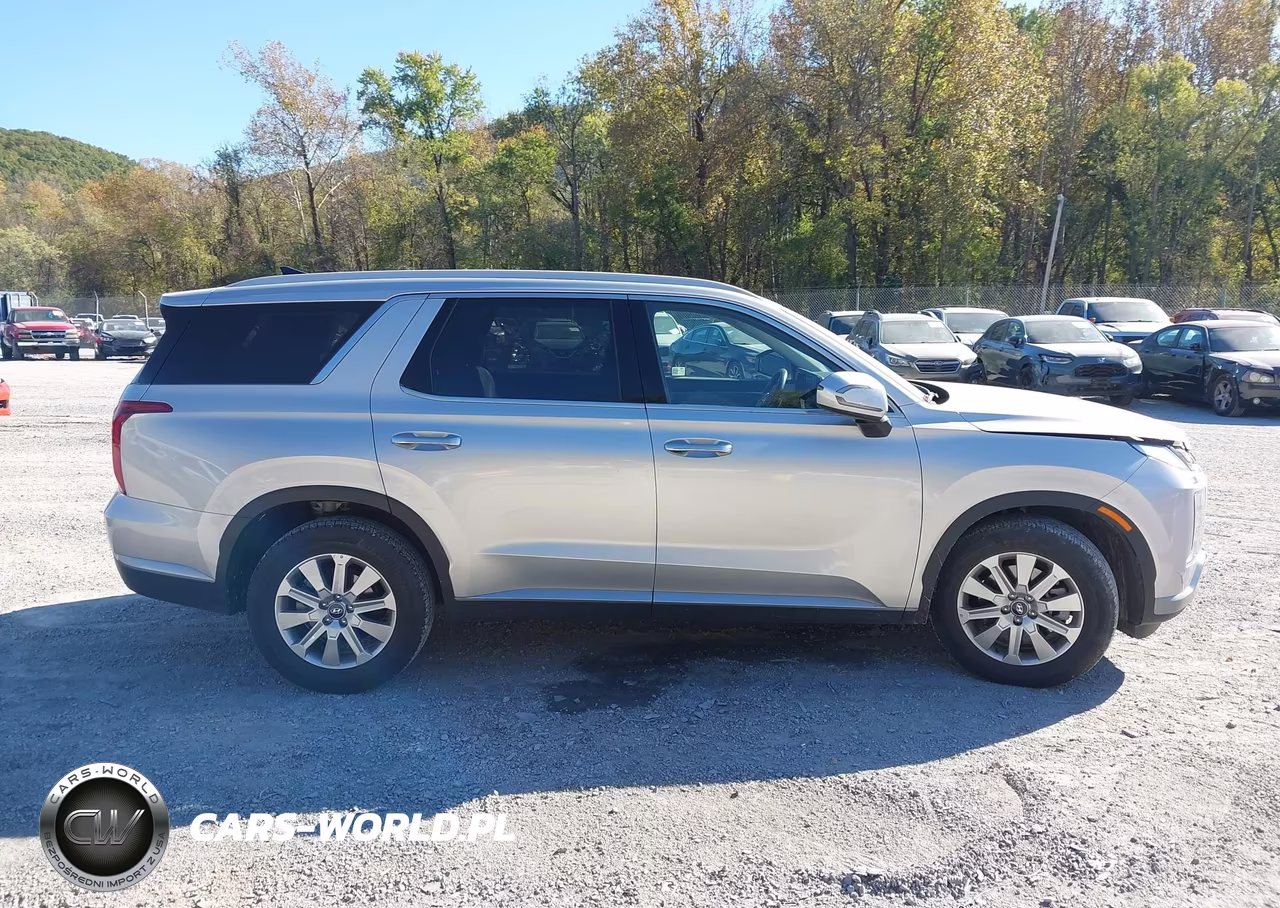 2025 Hyundai Palisade Sel VIN:KM8R24GE4SU950606 - 13