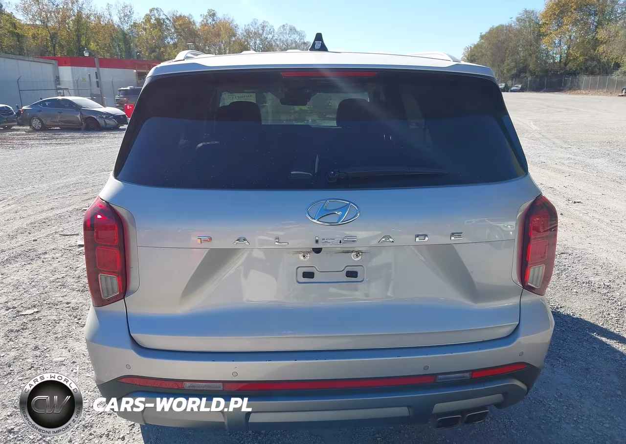 2025 Hyundai Palisade Sel VIN:KM8R24GE4SU950606 - 16