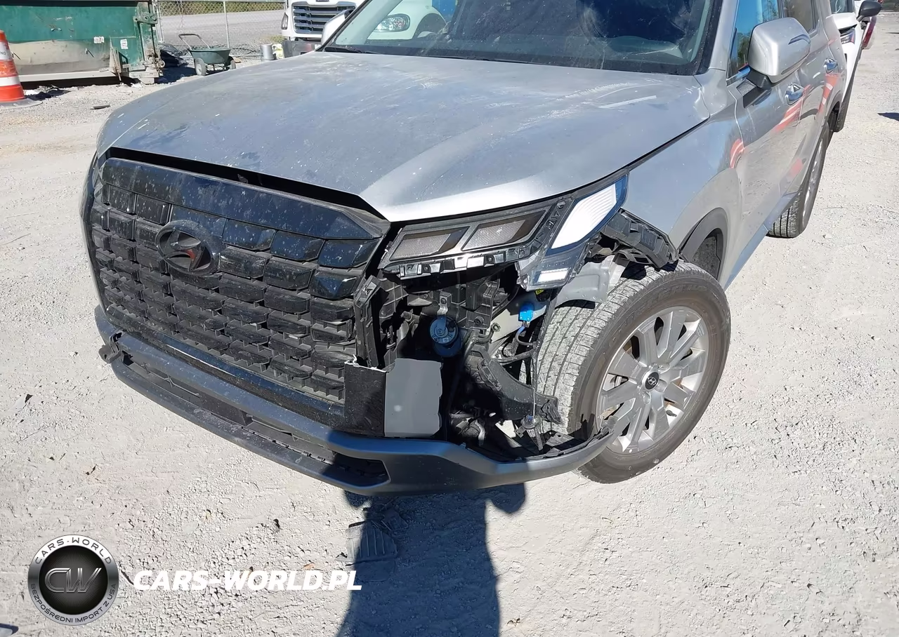 2025 Hyundai Palisade Sel VIN:KM8R24GE4SU950606 - 6