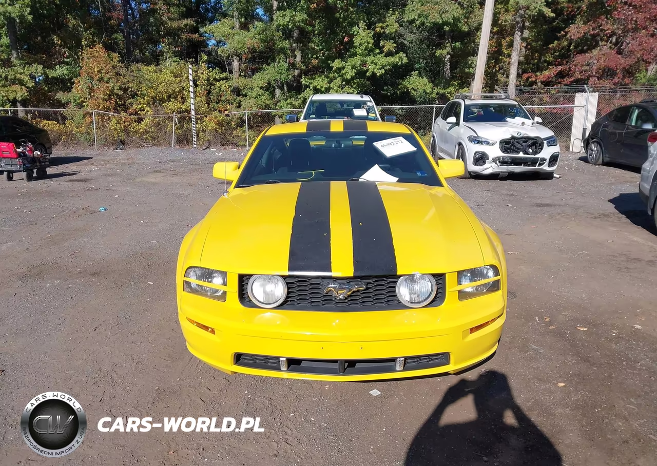2006 Ford Mustang Gt VIN:1ZVFT82H665143594 - 12