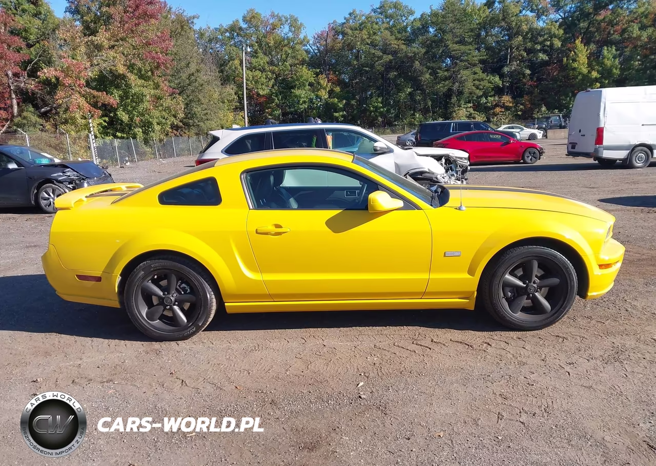 2006 Ford Mustang Gt VIN:1ZVFT82H665143594 - 13