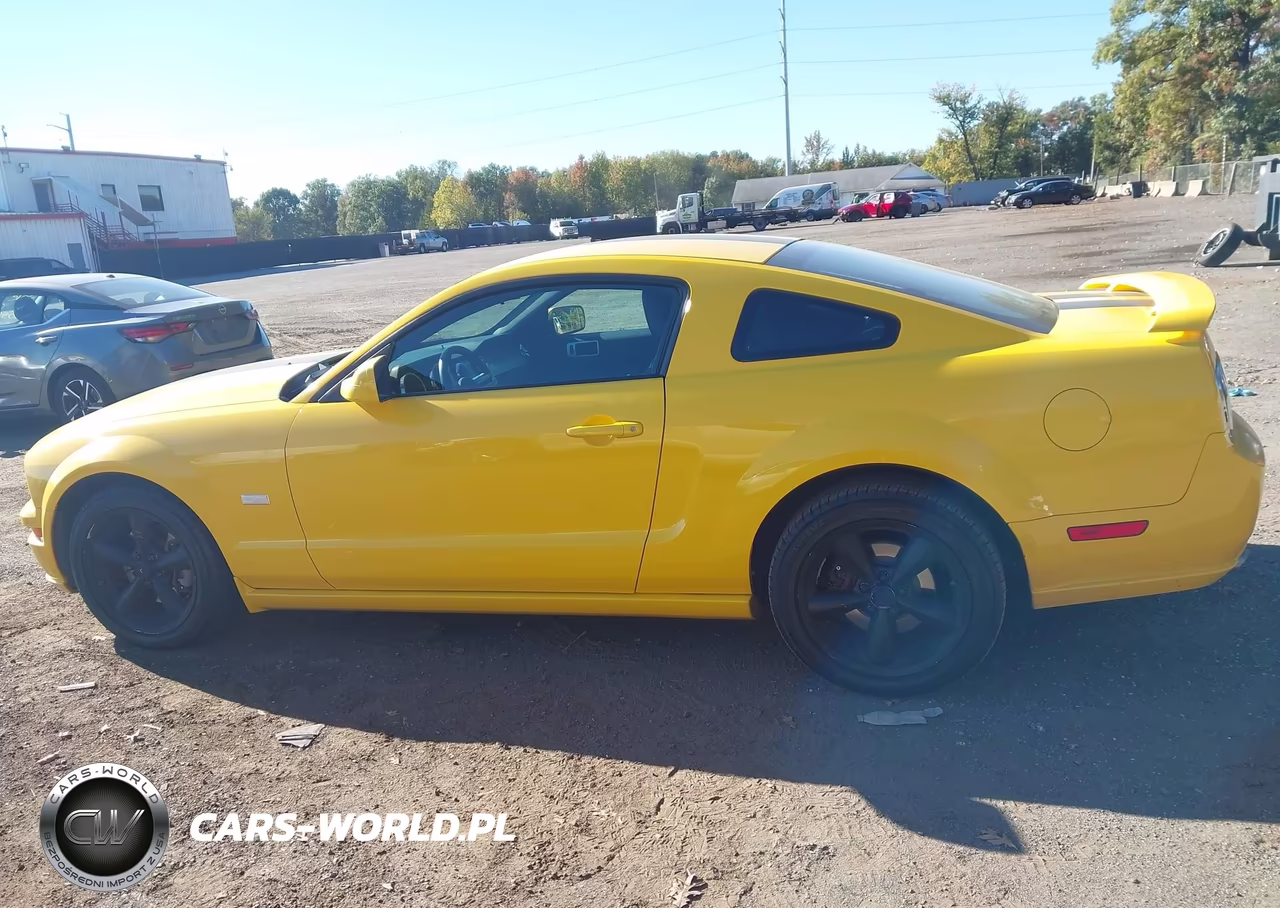2006 Ford Mustang Gt VIN:1ZVFT82H665143594 - 14