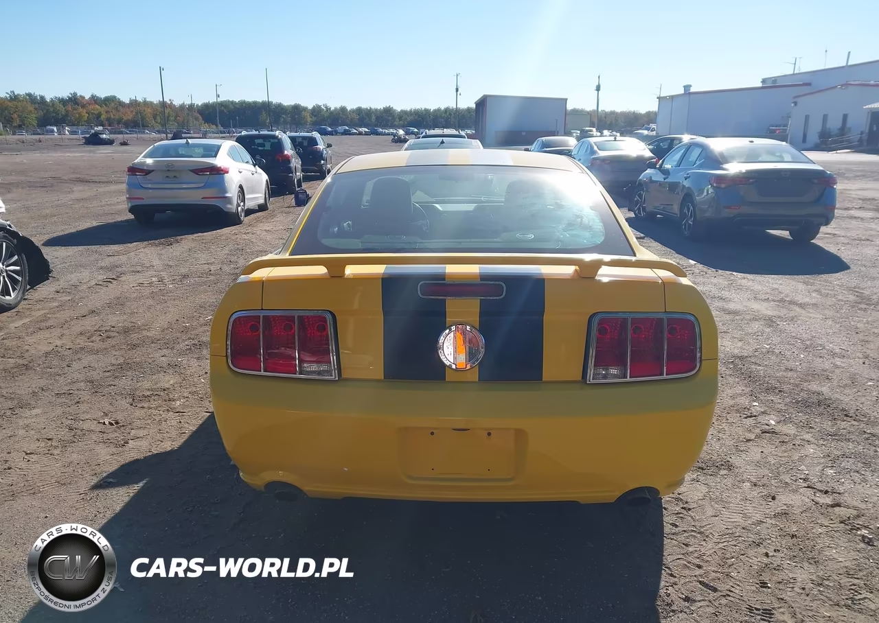 2006 Ford Mustang Gt VIN:1ZVFT82H665143594 - 16