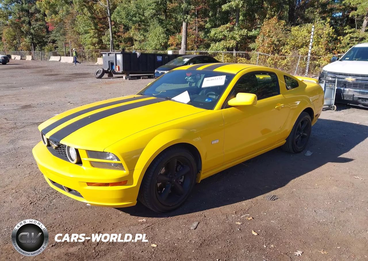 2006 Ford Mustang Gt VIN:1ZVFT82H665143594 - 2