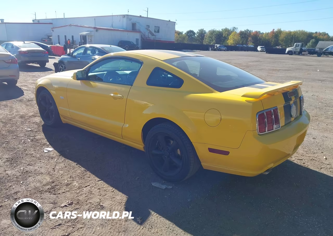 2006 Ford Mustang Gt VIN:1ZVFT82H665143594 - 3
